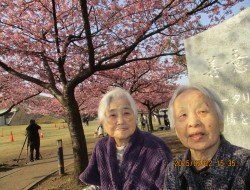 お花見外出まとめ🌺