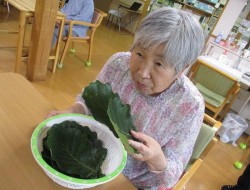 かんのんオリジナル柏餅づくり🥬