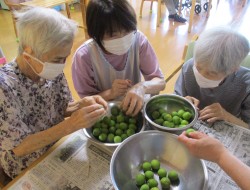 かんのん⛱️夏の水分補給教えます🧃梅ジュース・しそジュース作り💕