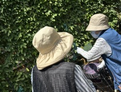 IMG_4314[1]
