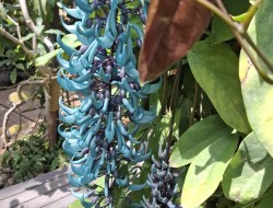 IMG_6072[1]