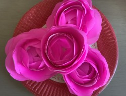 IMG_6285[1]