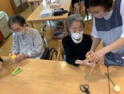 IMG_6516[1]