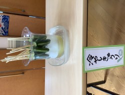 IMG_7091[1]