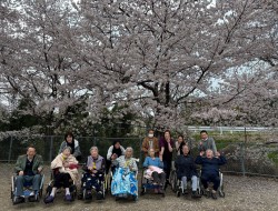 バイキングとお花見🌸