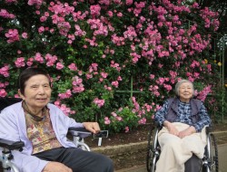 井頭公園　バラ園へお出かけ🌹