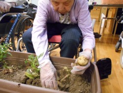 じゃがいも掘り🥔