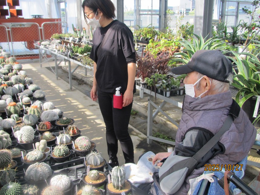 サボテンもいろいろ